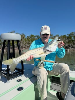 Fishing in Islamorada, Florida