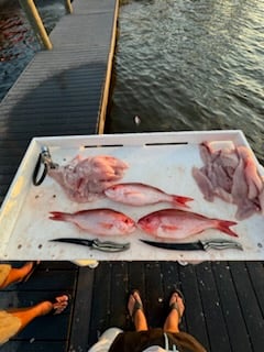 Fishing in Santa Rosa Beach, Florida