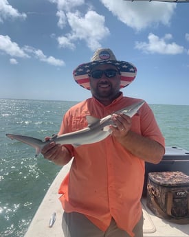 Blacktip Shark fishing in Corpus Christi, Texas