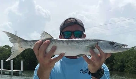 Barracuda fishing in Islamorada, Florida