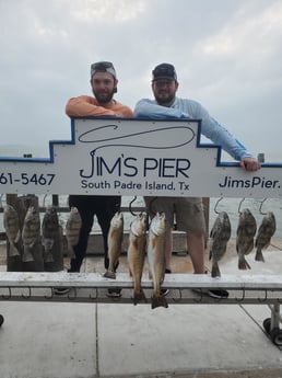 Black Drum, Redfish Fishing in South Padre Island, Texas