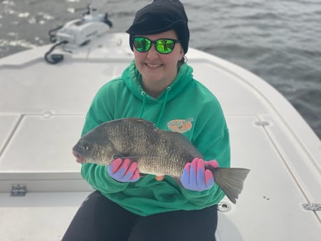 Black Drum Fishing in Jacksonville Beach, Florida