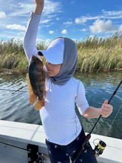 Peacock Bass Fishing in Palmetto Bay, Florida