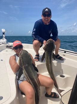 Cobia fishing in Wrightsville Beach, North Carolina