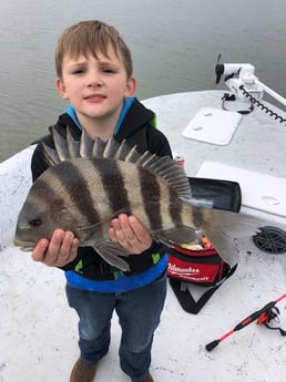 Sheepshead Fishing in Surfside Beach, Texas