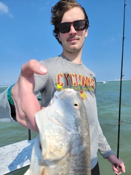 Redfish Fishing in Rio Hondo, Texas