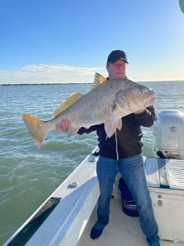 Black Drum fishing in Galveston, Texas