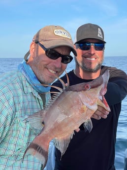 Hogfish fishing in Clearwater, Florida