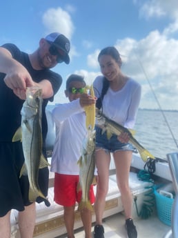 Tarpon fishing in Sarasota, Florida