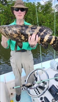 Fishing in Naples, Florida