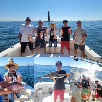 Cobia, Red Snapper Fishing in Gulf Shores, Alabama