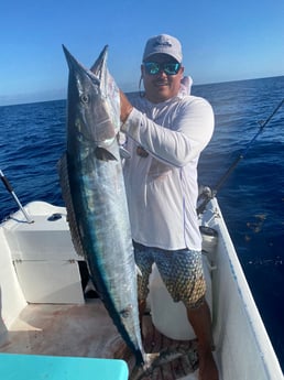 Wahoo Fishing in Tulum, Quintana Roo