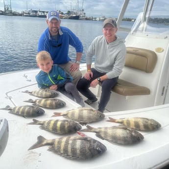 Sheepshead fishing in Panama City, Florida