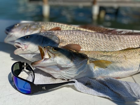 Redfish, Speckled Trout / Spotted Seatrout fishing in South Padre Island, Texas