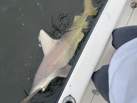 Fishing in Pensacola, Florida