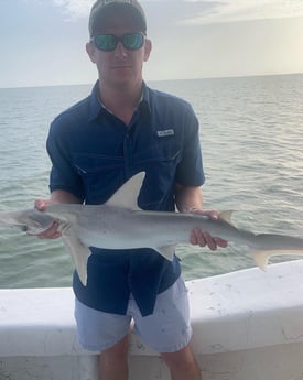 Bonnethead Shark fishing in Corpus Christi, Texas