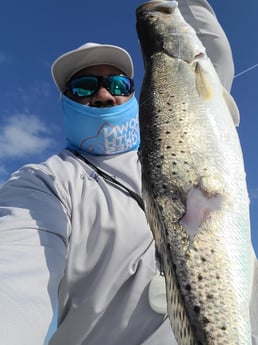 Speckled Trout Fishing in Galveston, Texas