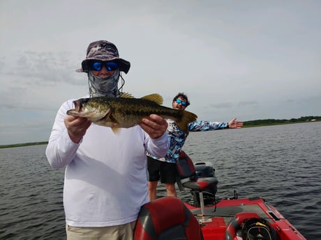 Largemouth Bass Fishing in Kissimmee, Florida