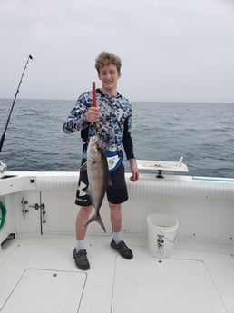 Amberjack Fishing in Orange Beach, Alabama