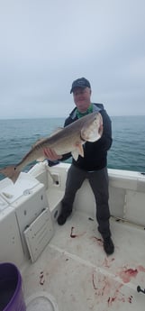 Red Snapper, Redfish fishing in South Padre Island, Texas