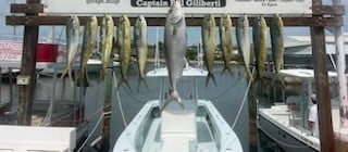 Fishing in Marathon, Florida