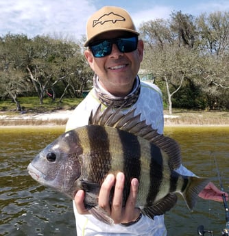 Sheepshead fishing in Fort Walton Beach, Florida