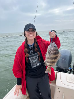 Sheepshead fishing in Galveston, Texas