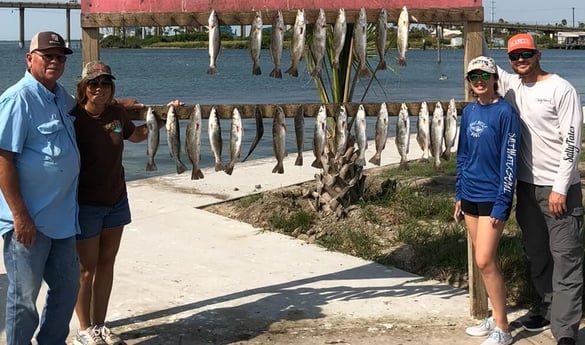 Black Drum, Speckled Trout / Spotted Seatrout fishing in Rockport, Texas