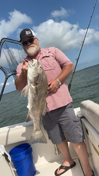 Black Drum Fishing in Galveston, Texas