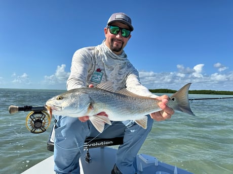 Fishing in Miami, Florida