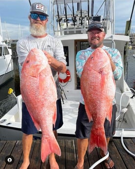 Red Snapper Fishing in Clearwater, Florida