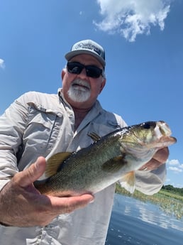 Snook fishing in Clearwater, Florida