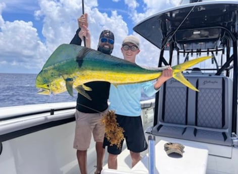 Mahi Mahi / Dorado fishing in Key Largo, Florida