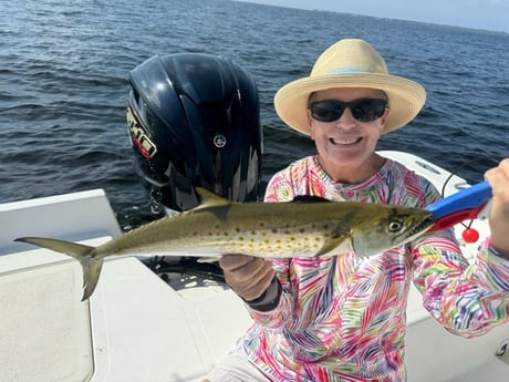 Fishing in St. Petersburg, Florida