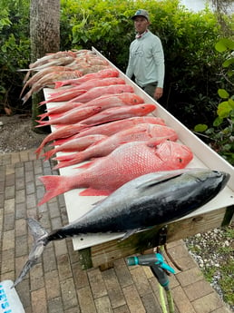 Blackfin Tuna, Red Grouper, Red Snapper fishing in Sarasota, Florida