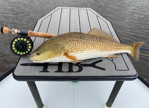 Redfish fishing in Galveston, Texas