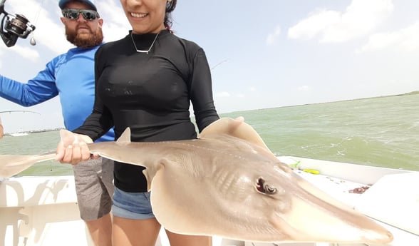 Stingray fishing in South Padre Island, Texas