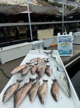 Fishing in Key West, Florida