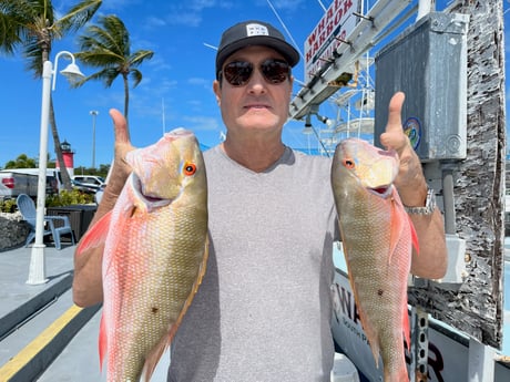 Mutton Snapper fishing in Islamorada, Florida