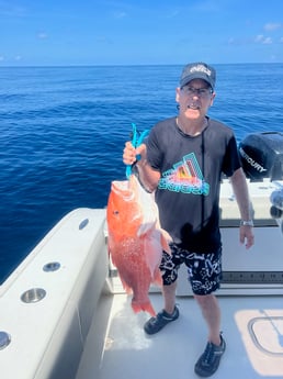 Red Snapper fishing in Freeport, Texas