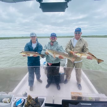 Redfish fishing in Port O&#039;Connor, Texas