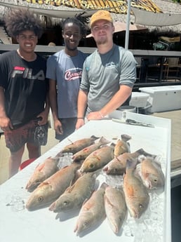 Fishing in Key West, Florida