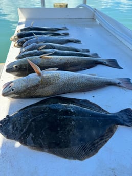 Fishing in South Padre Island, Texas