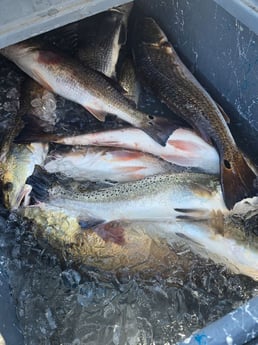 Fishing in Aransas Pass, Texas