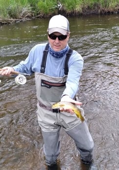 Brown Trout fishing in Littleton, Colorado