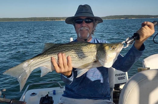 Hybrid Striped Bass Fishing in Runaway Bay, Texas