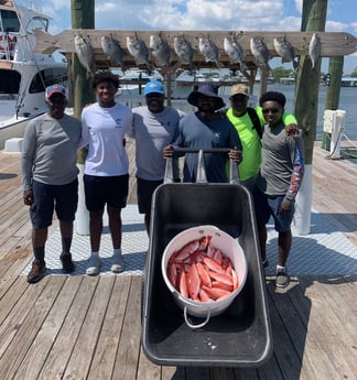 Triggerfish, Vermillion Snapper Fishing in Orange Beach, Alabama