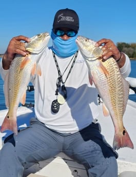 Redfish Fishing in Galveston, Texas