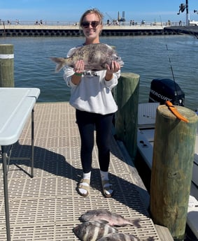 Sheepshead Fishing in Gulf Shores, Alabama