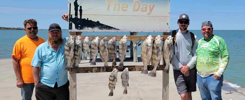 Black Drum Fishing in Rockport, Texas